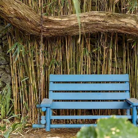 Quinta Acacias Tatil Evi