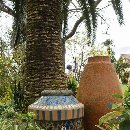 Quinta Acacias Tatil Evi *