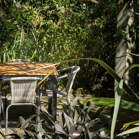 Quinta Acacias Tatil Evi *